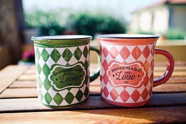 退役貓找家計畫