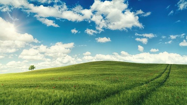  我們的貓，是我們自己也願意帶回家的孩子。