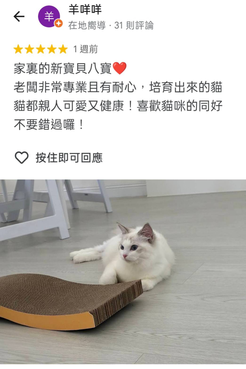 感謝來自家長的真實好評