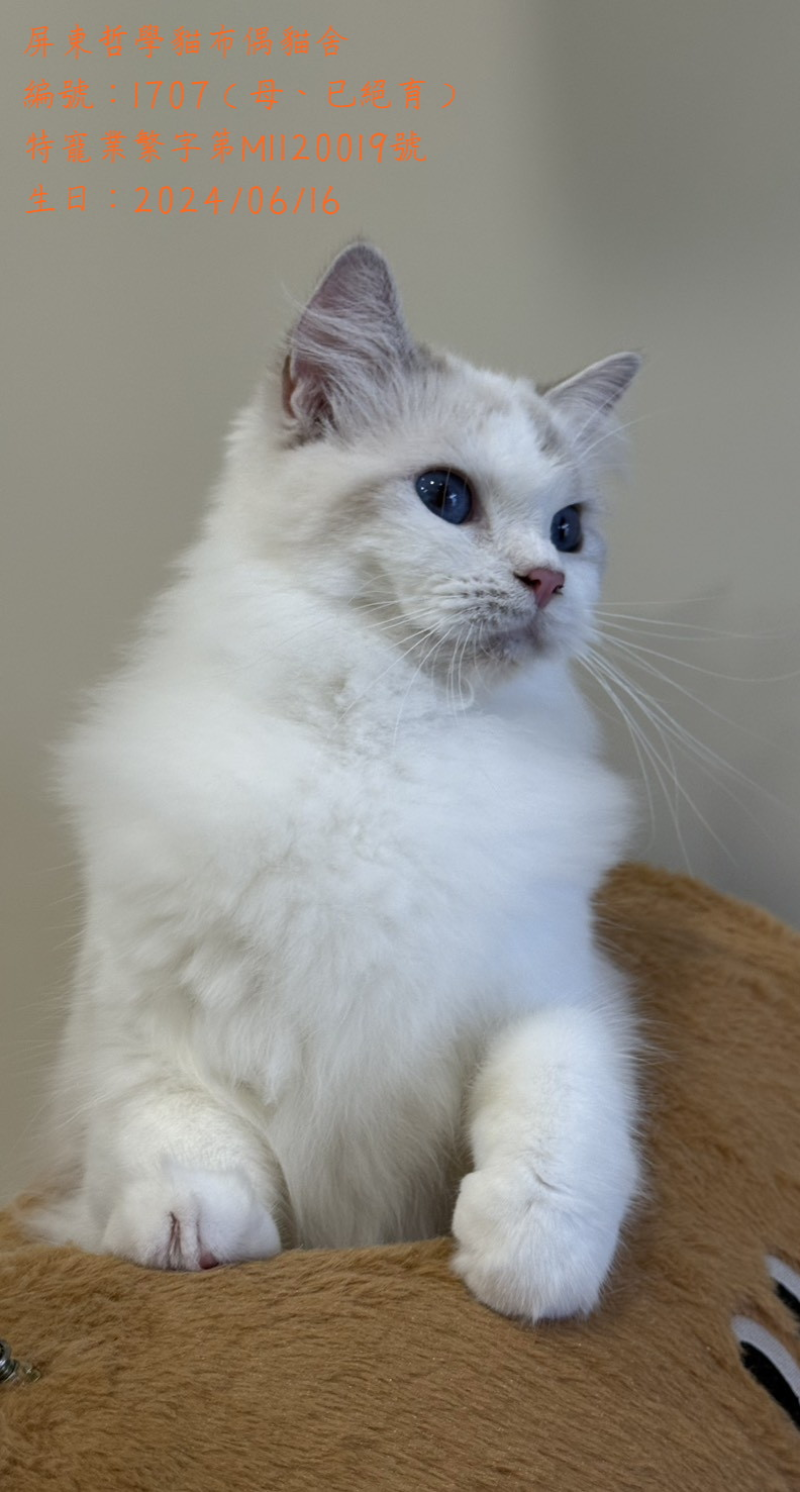 【1707 找到幸福的家】感謝每一位默默關注的你