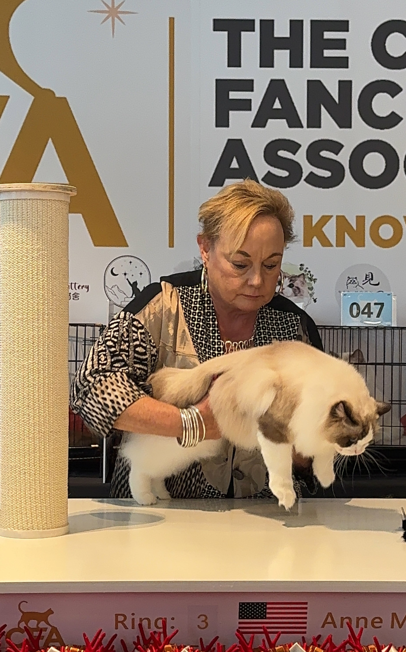 參加CFA比賽獲得優秀的成績