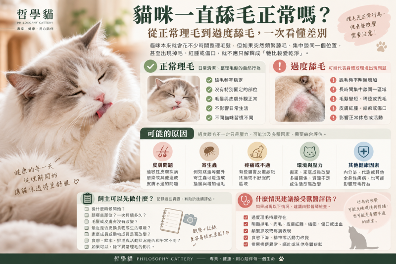 貓咪一直舔毛正常嗎？從正常理毛到過度舔毛，一次看懂