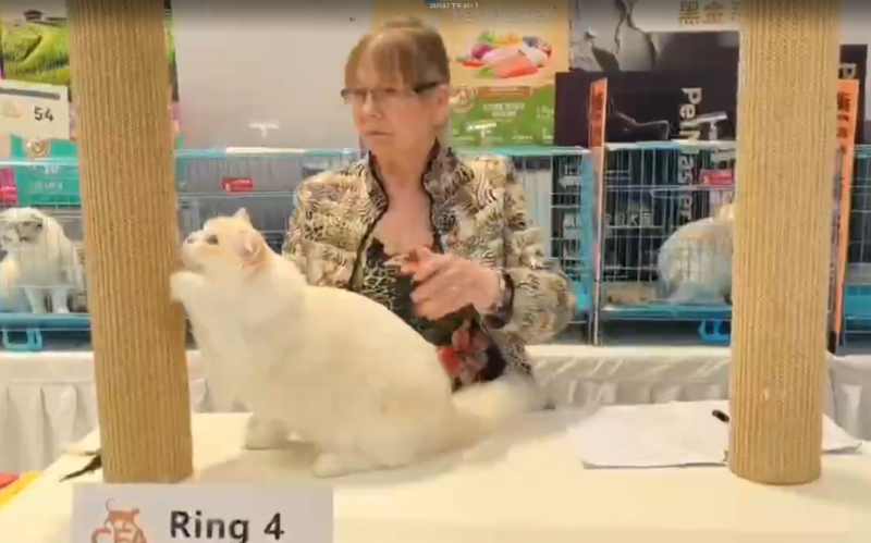 黃金蛋（Golden Egg）比賽佳績介紹