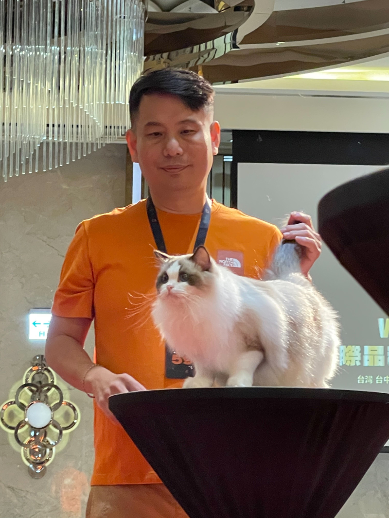 甜糕準備又要參賽了喔！這次是CFA在新莊12/7-12/8