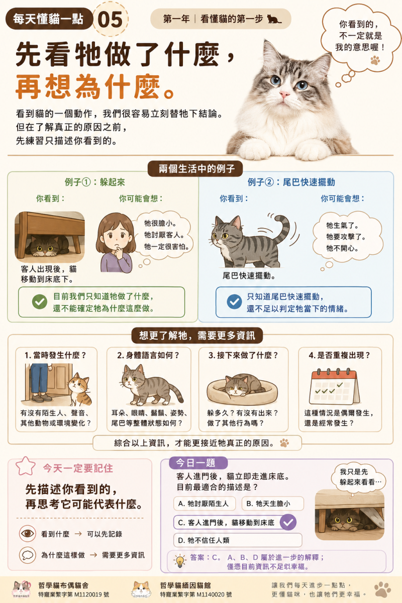 每天懂貓一點
