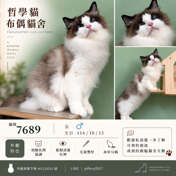 7689