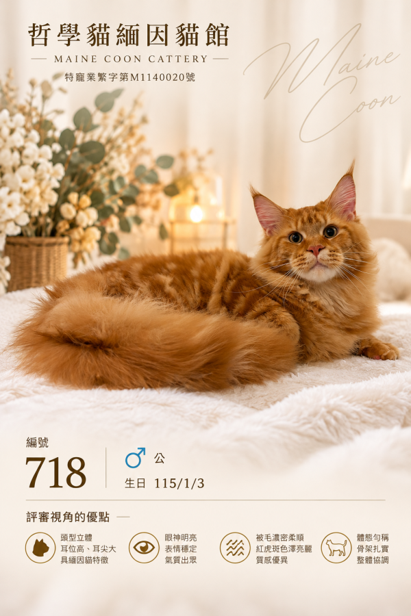 718