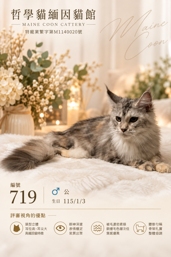 719公
